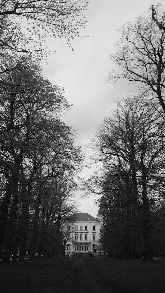 A dramatic black and white photo of a mansion in Ghent, Belgium surrounded by trees.