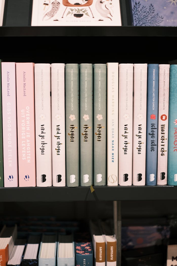 A collection of colorful books neatly arranged on a library shelf.